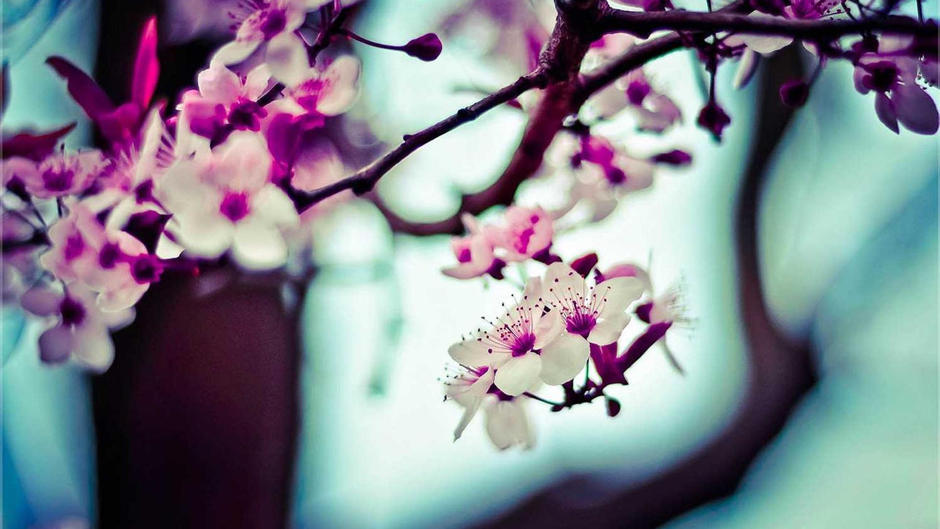 People working together with understanding